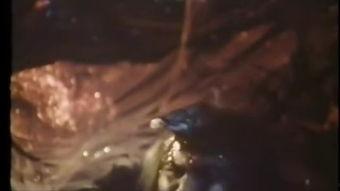 蜈蚣咒在线观看 第3张 蜈蚣咒在线观看 第3张