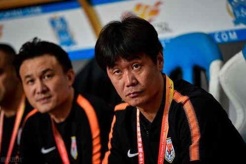 爆料郝伟完整版视频在线观看,独家爆料背后的真相与精彩瞬间  第3张