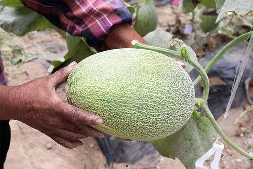 近期宿迁网红吃瓜合集,盘点近期热门事件 第1张 近期宿迁网红吃瓜合集,盘点近期热门事件 第1张