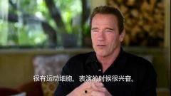 阿诺视频爆料最新,揭秘娱乐圈最新内幕，独家猛料来袭！